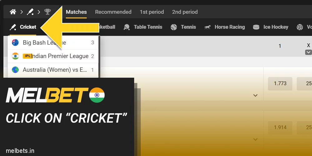 Click on “Cricket” button at Melbet menu