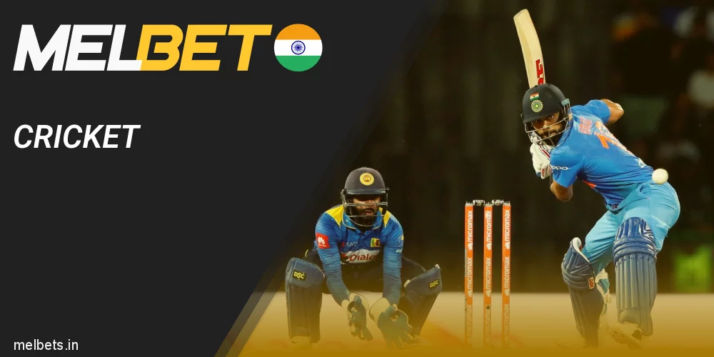 Cricket betting at Melbet India