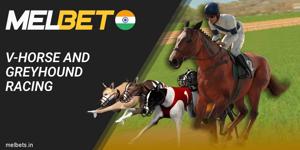 Bet on Virtual Horse and Greyhound Racing at Melbet