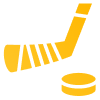 Ice Hockey icon